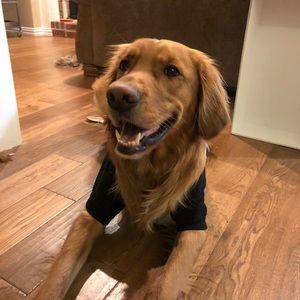 Meet your Posher, Joey